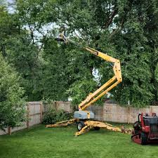 Best Tree Planting Services  in Stock Island, FL